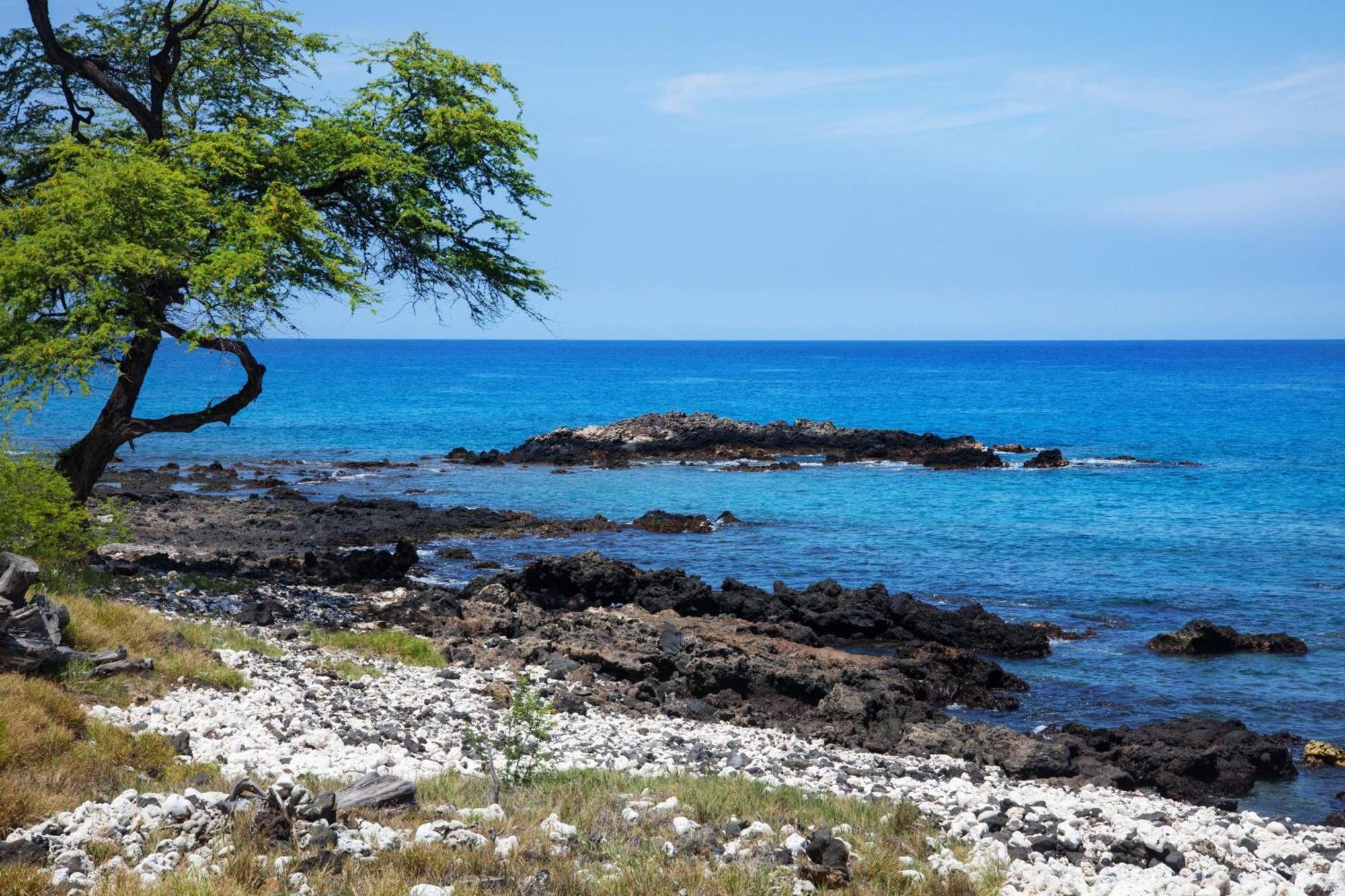เมานา เคีย บีช โฮเต็ล ออโตกราฟ คอลเลคชั่น Hotel Kohala Coast ภายนอก รูปภาพ